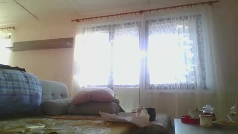 steki038434 online show from December 31, 2024, 12:57 pm