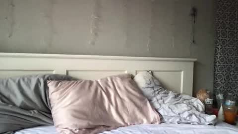 stelladams online show from March 4, 2026, 9:43 pm