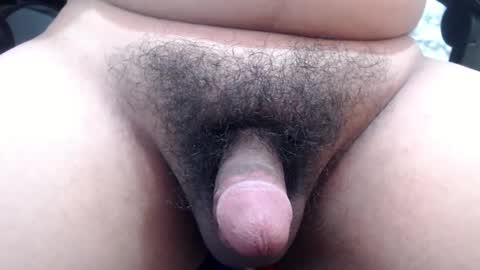 Stellaven online show from January 24, 2025, 10:11 am