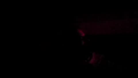 stephan6078 online show from July 31, 2026, 2:33 am