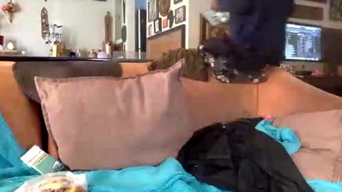 Snapshot of stevemason718 chatting on February 25, 2025, 8:51 pm STEVE CASHMASTER 1comedia online show from February 25, 2025, 8:51 pm