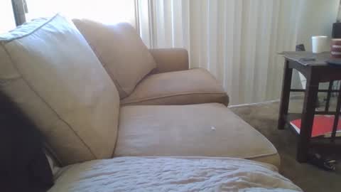 steven903625 online show from December 17, 2024, 7:04 pm