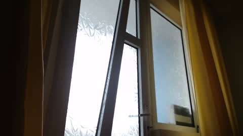 Steven online show from March 3, 2025, 11:55 am