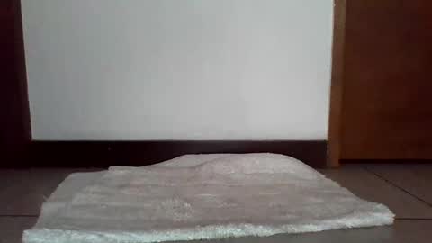 Snapshot of stgo2000caliente chatting on February 18, 2025, 3:54 pm stgo2000caliente online show from February 18, 2025, 3:54 pm