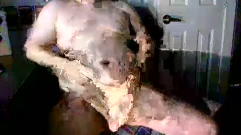 StockynCuddly online show from October 16, 2025, 11:06 pm