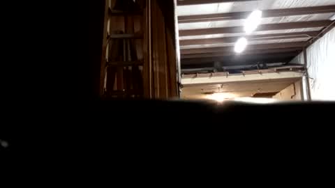 Oval2022 online show from December 16, 2024, 12:48 am