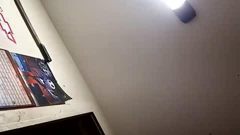 Oval2022 online show from January 1, 2025, 1:16 pm