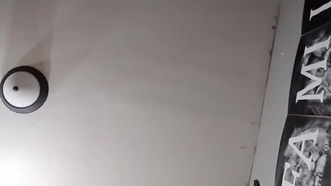 Oval2022 online show from March 26, 2026, 12:11 pm