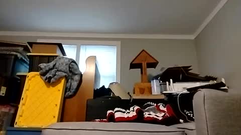 Streetwyze online show from October 25, 2025, 12:34 pm