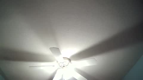 str8whiteboy21 online show from December 19, 2024, 4:34 am