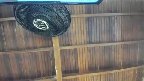Alexa   online show from August 1, 2026, 10:36 am