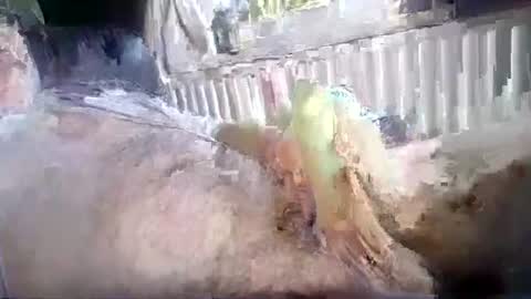 stud_1975 online show from July 18, 2026, 12:31 pm