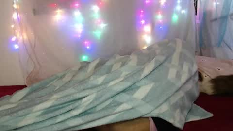 zuley online show from March 4, 2026, 2:17 am