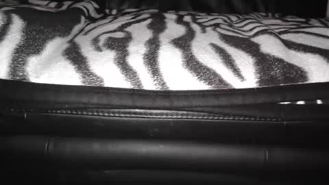 s online show from December 24, 2024, 9:11 pm