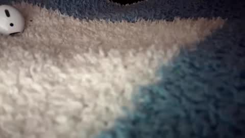 Snapshot of sunflowerxo chatting on September 9, 2025, 4:56 am Sofie online show from September 9, 2025, 4:56 am