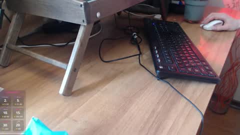 Snapshot of sunnyjoys chatting on February 4, 2025, 12:11 pm Alina Streams Mon to Fri online show from February 4, 2025, 12:11 pm