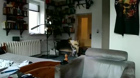 Snapshot of sunr1sa chatting on December 7, 2024, 7:49 am sunr1sa online show from December 7, 2024, 7:49 am