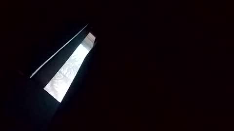 Snapshot of sunsweetsavage chatting on March 10, 2026, 2:16 am BIGDGEE online show from March 10, 2026, 2:16 am