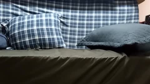 Snapshot of super_dave88 chatting on September 28, 2025, 10:53 am Super dave88 online show from September 28, 2025, 10:53 am