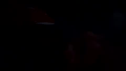 Francisco666 online show from November 23, 2025, 11:43 am