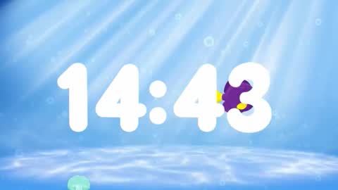 Susan online show from November 13, 2025, 2:32 am