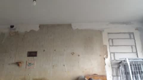 Snapshot of svetifox chatting on February 1, 2025, 2:02 pm Sveti online show from February 1, 2025, 2:02 pm