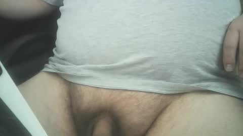 swedishdude22 online show from April 24, 2026, 3:47 pm