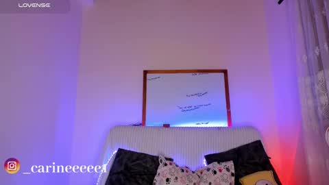 Snapshot of sweet_carine chatting on December 17, 2024, 10:34 am camil online show from December 17, 2024, 10:34 am