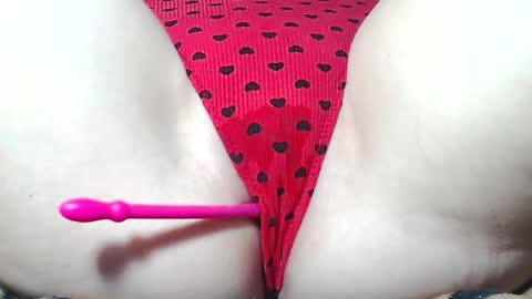 Kitten online show from April 2, 2026, 8:56 am