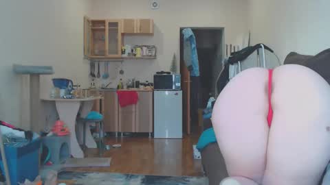 TexasPAWG101 online show from February 25, 2026, 2:10 am