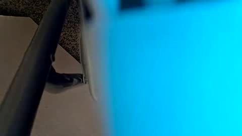 sweetboy842 online show from January 28, 2025, 2:32 am