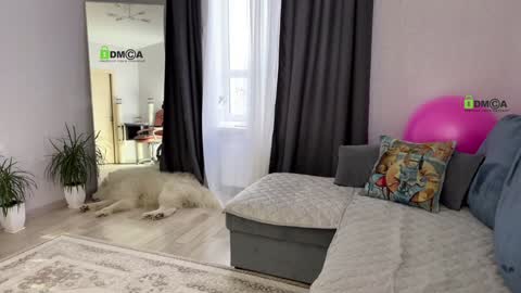 Vicktorious online show from January 17, 2025, 12:42 pm