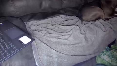 sweetgesus online show from January 5, 2025, 3:53 am