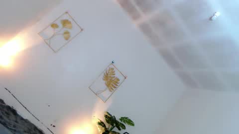 May online show from December 1, 2025, 6:13 pm