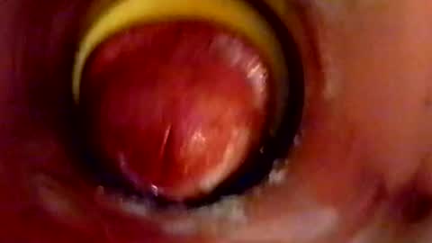 sweetkreme69 online show from October 11, 2025, 2:55 am