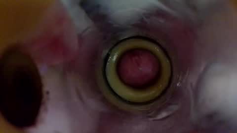 sweetkreme69 online show from October 17, 2025, 9:01 am