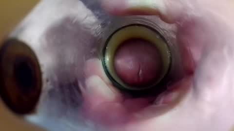 sweetkreme69 online show from October 19, 2025, 2:45 am