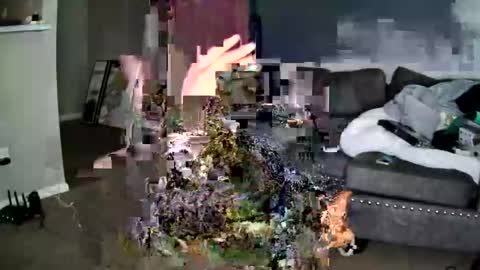 sweetness_cool online show from October 22, 2025, 7:57 pm