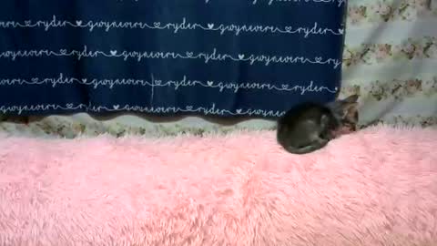 sweetnipples1987 online show from June 14, 2026, 7:49 pm