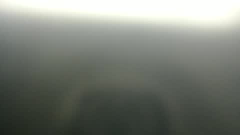 slim ivy online show from April 3, 2026, 3:59 am