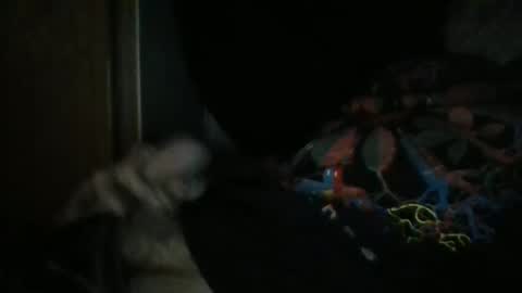 Snapshot of sweetpussylicks chatting on December 29, 2024, 8:55 am sweetpussylicks online show from December 29, 2024, 8:55 am