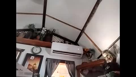 sweetsugar64 online show from February 3, 2026, 4:23 pm