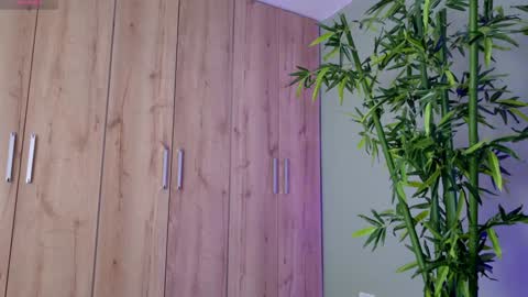    online show from January 23, 2025, 4:48 pm