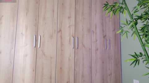    online show from January 25, 2025, 4:35 pm