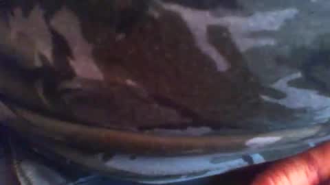 swils67 online show from April 20, 2026, 5:05 pm