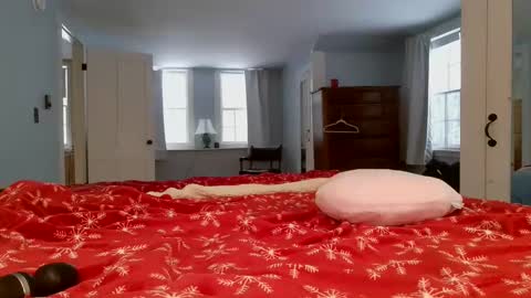 ashley blayde online show from February 6, 2025, 8:45 pm