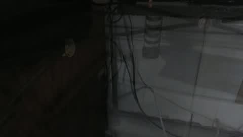 Snapshot of sxulx2c chatting on December 14, 2024, 6:24 am sxulx2c online show from December 14, 2024, 6:24 am