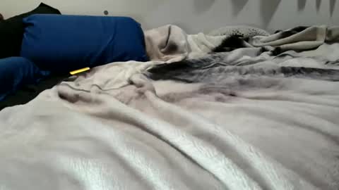 sybadog online show from February 19, 2026, 11:50 am