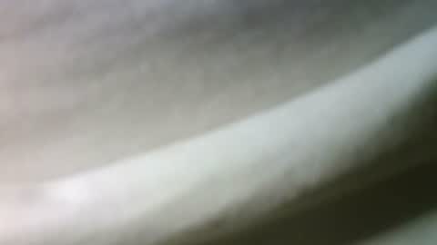 syrius57920 online show from February 22, 2025, 5:46 pm