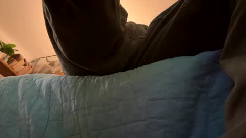 tRex online show from November 16, 2025, 11:21 pm